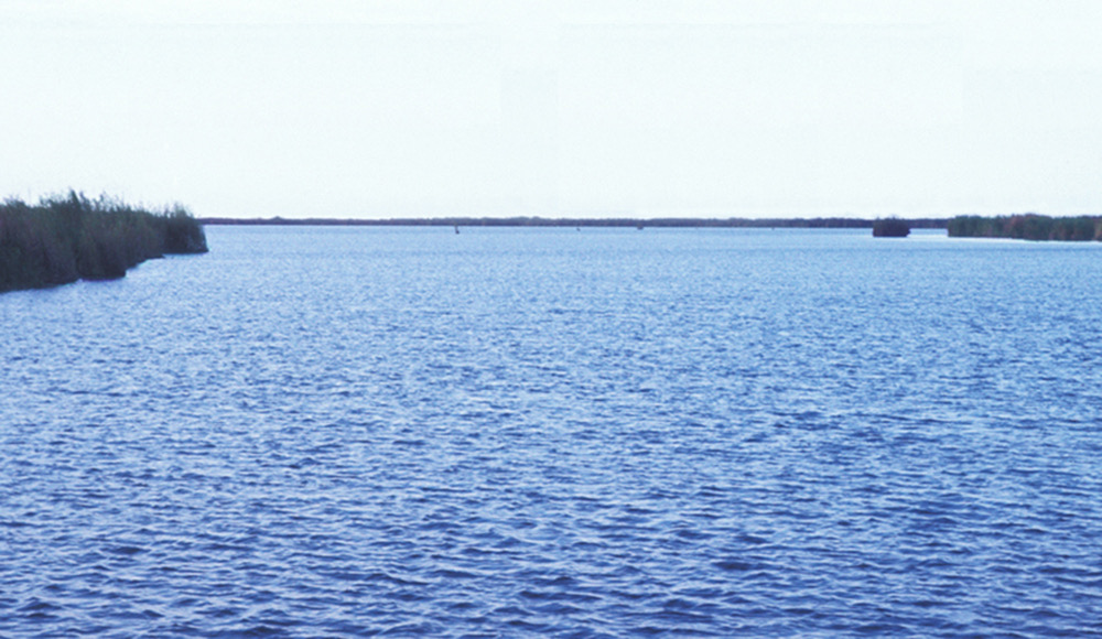 Lake Chad 1000